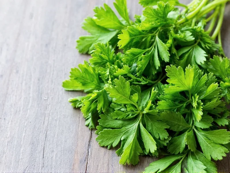 Parsley & Cilantro Health Benefits: Science-Backed Facts