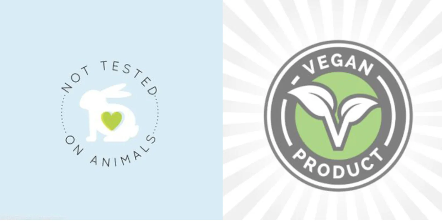 2020-08-28 3.04.46.png