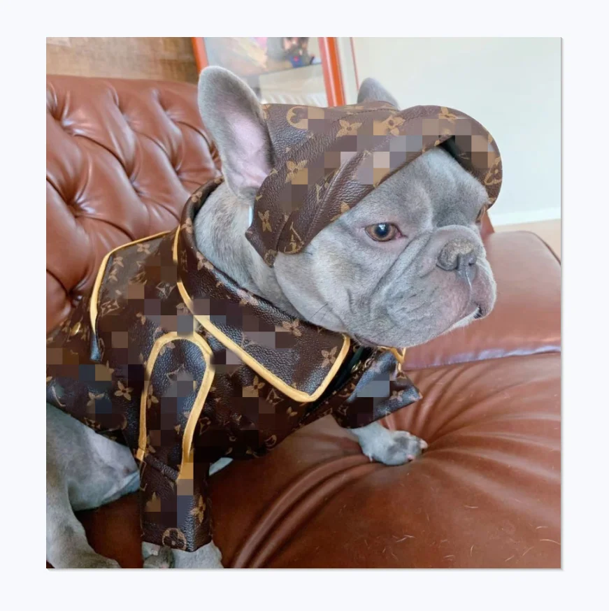 

Factory direct selling of high-end custom pet fur coat windproof and rainproof pitbull fat luxury brand dog clothing