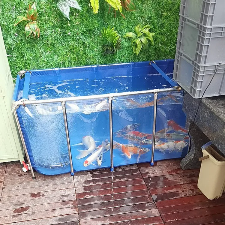 

Lvju Mini Marine Fish Holding Tank Convenient Water Changing Lazy Fish Tank, Blue and one side clear/custom