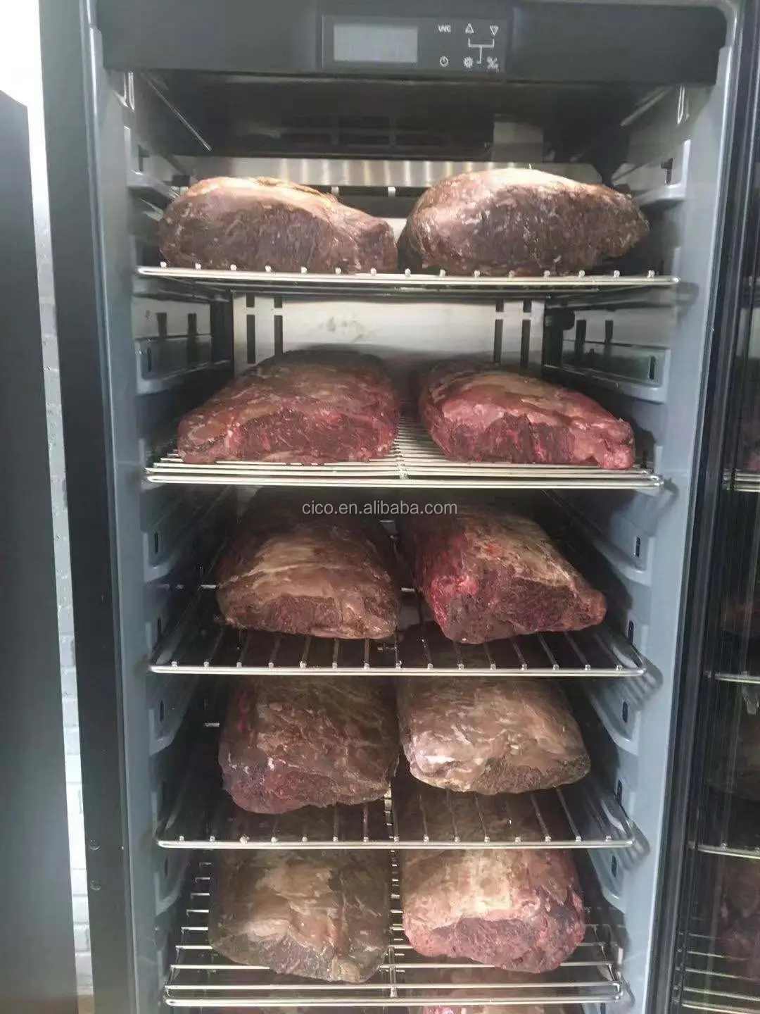 Cico Smaller Size Steak Dry Agers Aging Refrigerator For Home Use To