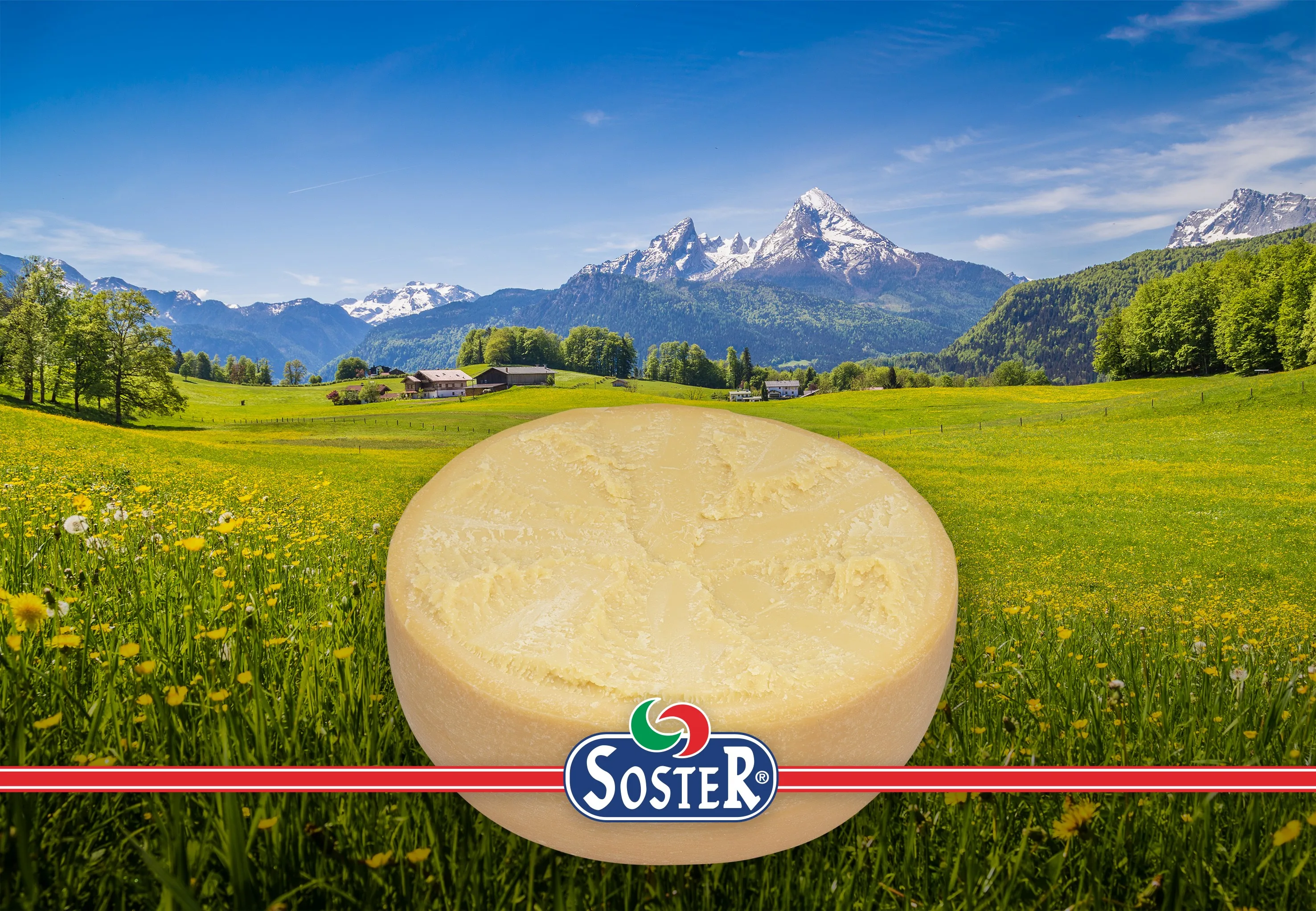 
Gran Mondoro half wheel - lactose free cheese - vegetarian cheese 