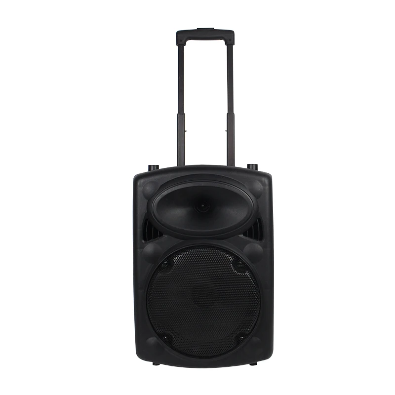 

10 Inch Dj Portable Box Rechargeable Woofer Trolley BT Speaker, Black