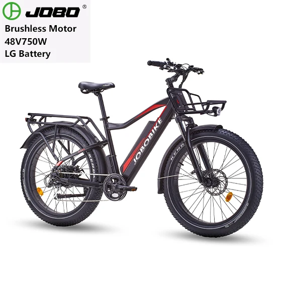 

Amazon hot selling 750w 1000w motor e-bike fat tire mountain bike fatbike electric bicycle bike