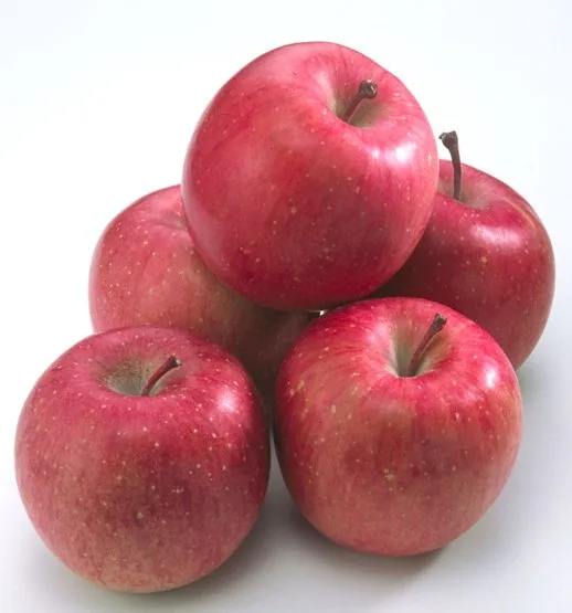 fresh apple 4.jpg