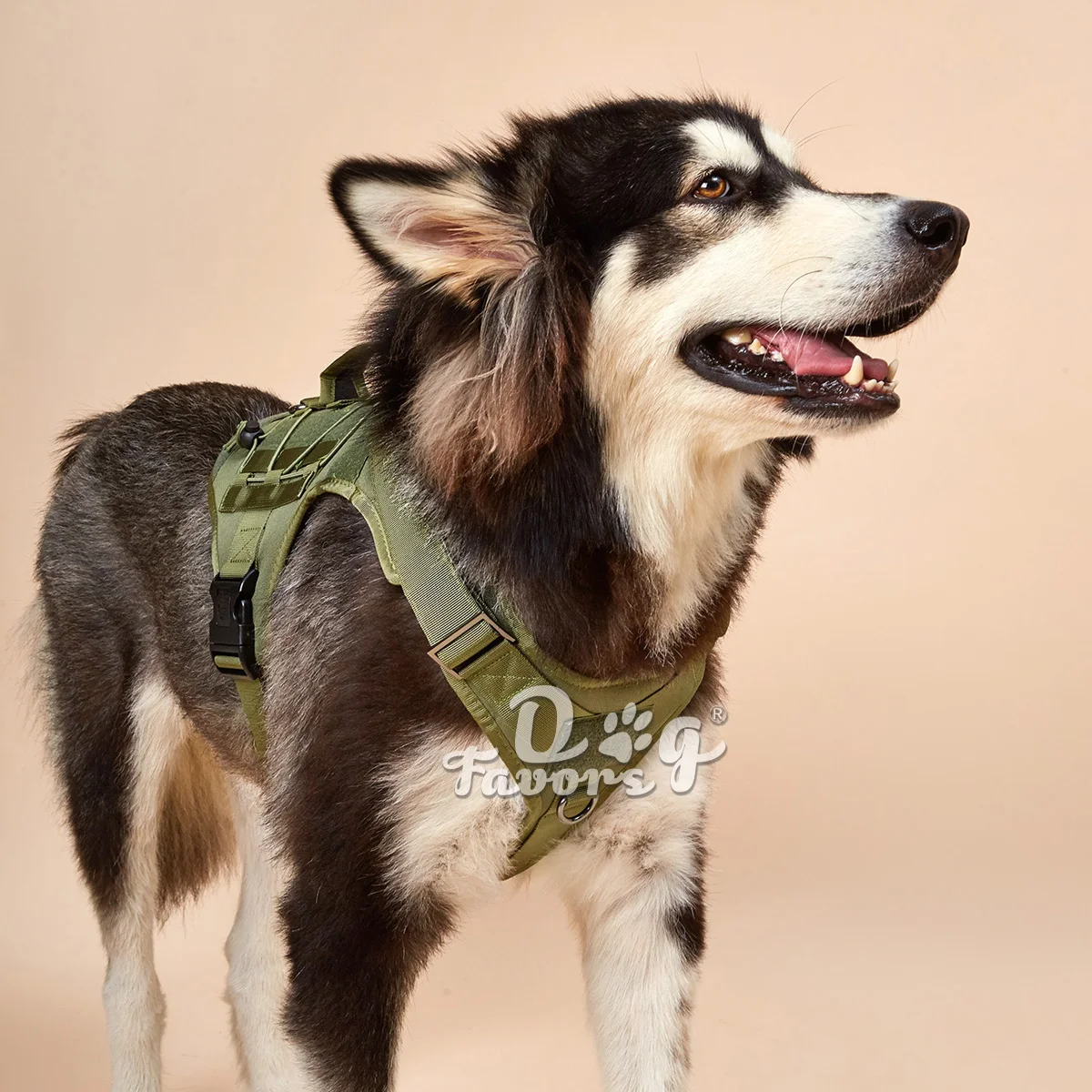 

Army Green Tactical Dog Harness No Pulling Adjustable Pet Harness K9 Working Training Pet Vest Military Service Dog Harness, 16 colors