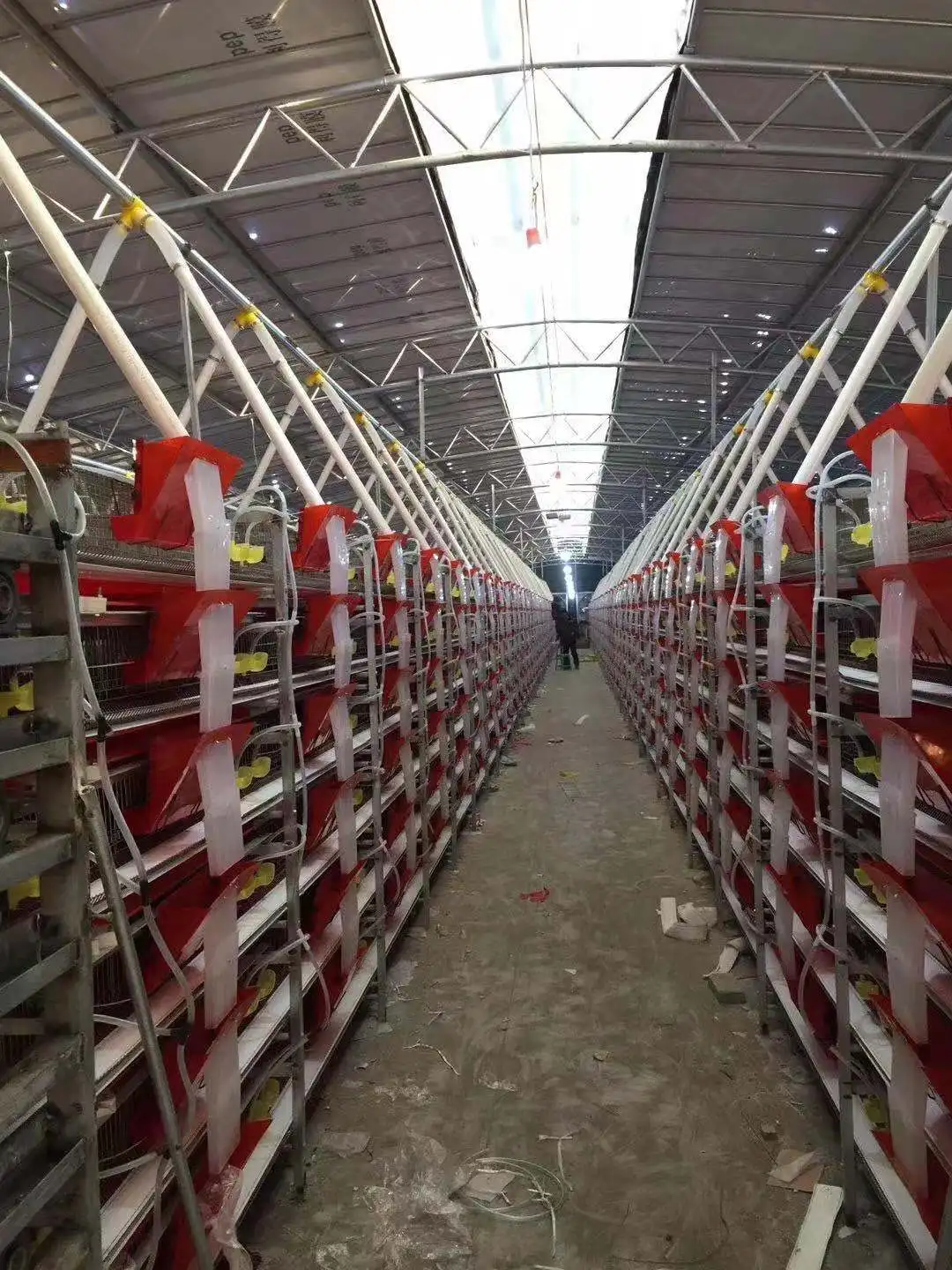 Quail Cage Automatic For South Africa,Quail Cage Farming Equipment