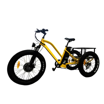 tricycle for adults price