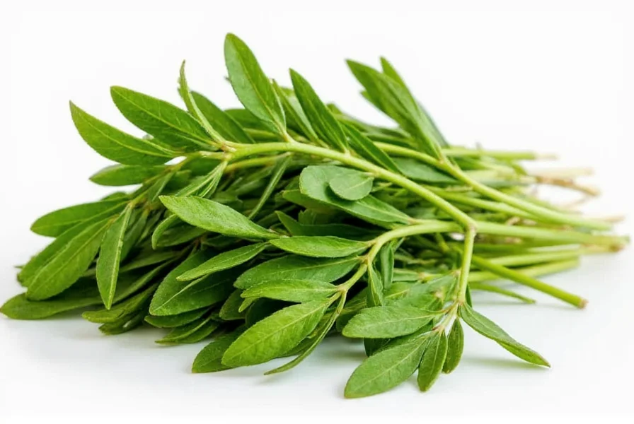 Chervil