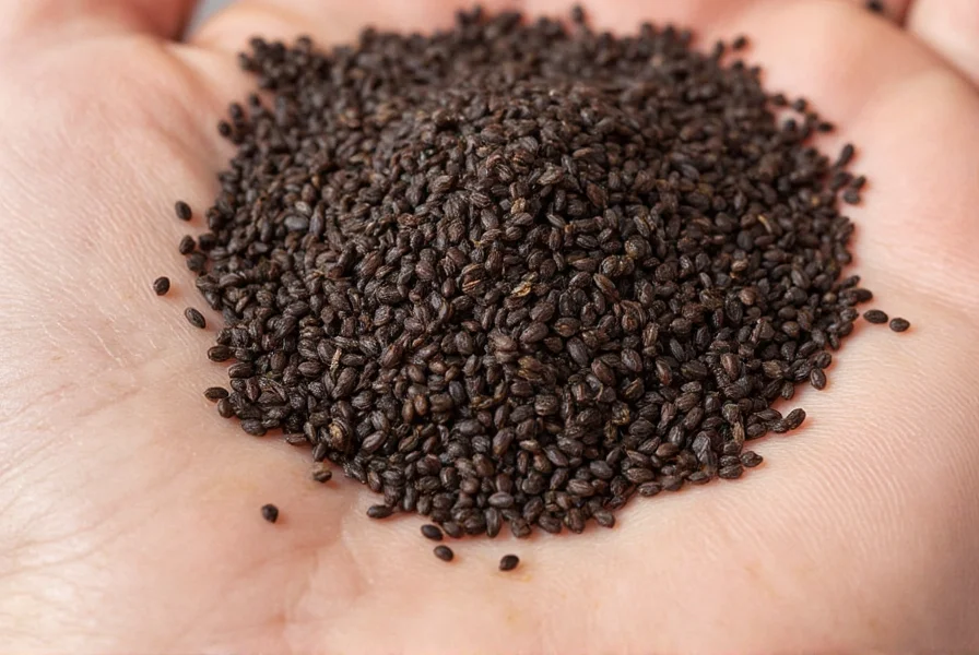 Toasting black cumin seeds in a pan