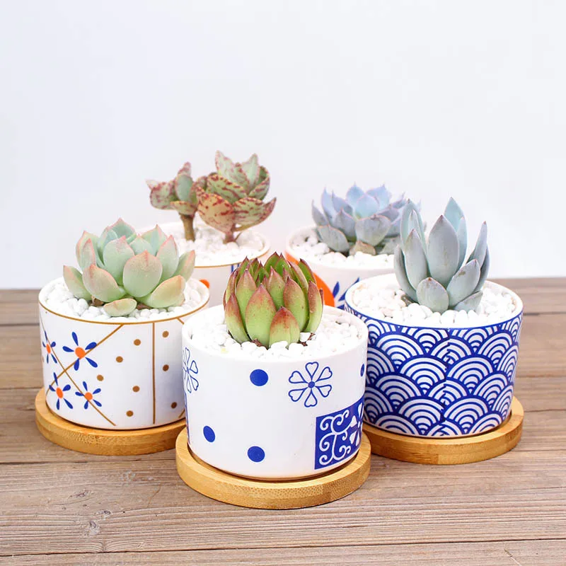 

Japanese Style Succulent Flower Pot Small Zakka Flower Pot For Gift Friend, Green/blue/white