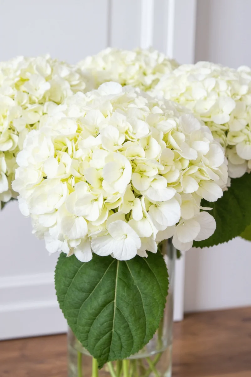Fake hydrangeas styled for different seasons