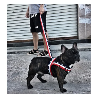 

Small custom adjustable no pull safety dog harness pet collar for cats and small dogs, Five-pointed star color