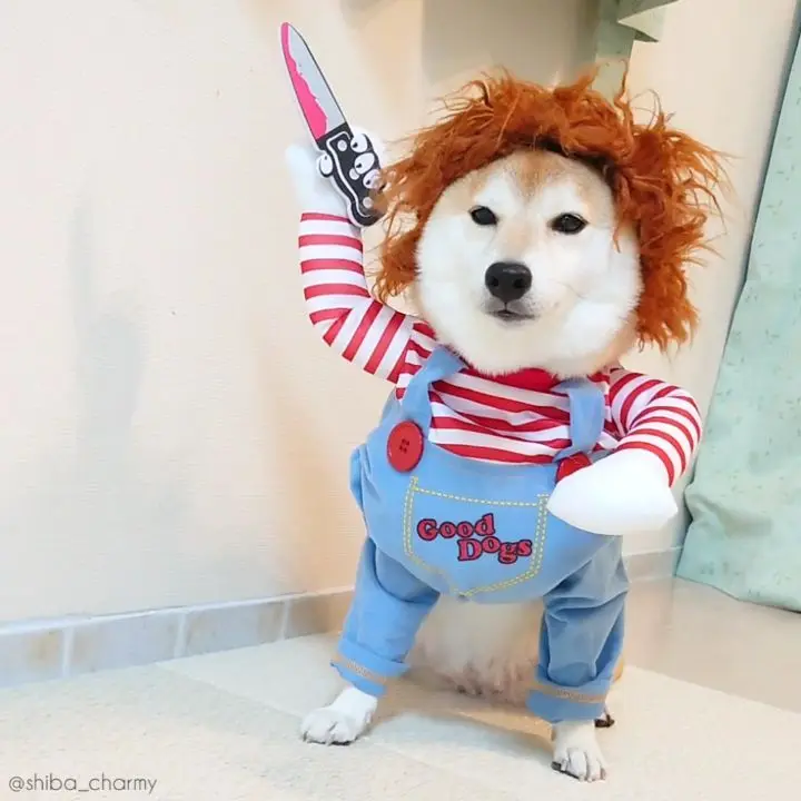 

Pet Dog Halloween Clothes chucky perro Holding a Knife Halloween Costume Novelty Funny Pet Cat Party Cosplay Apparel Clothing