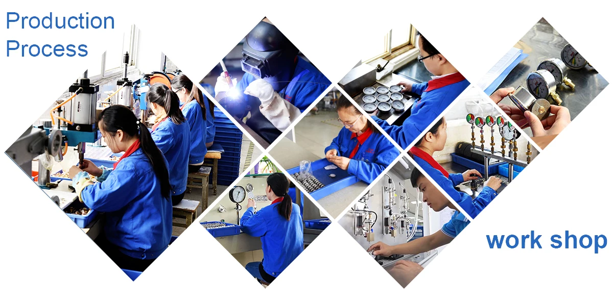 Company Overview - ANHUI EXACT INSTRUMENT CO., LTD.