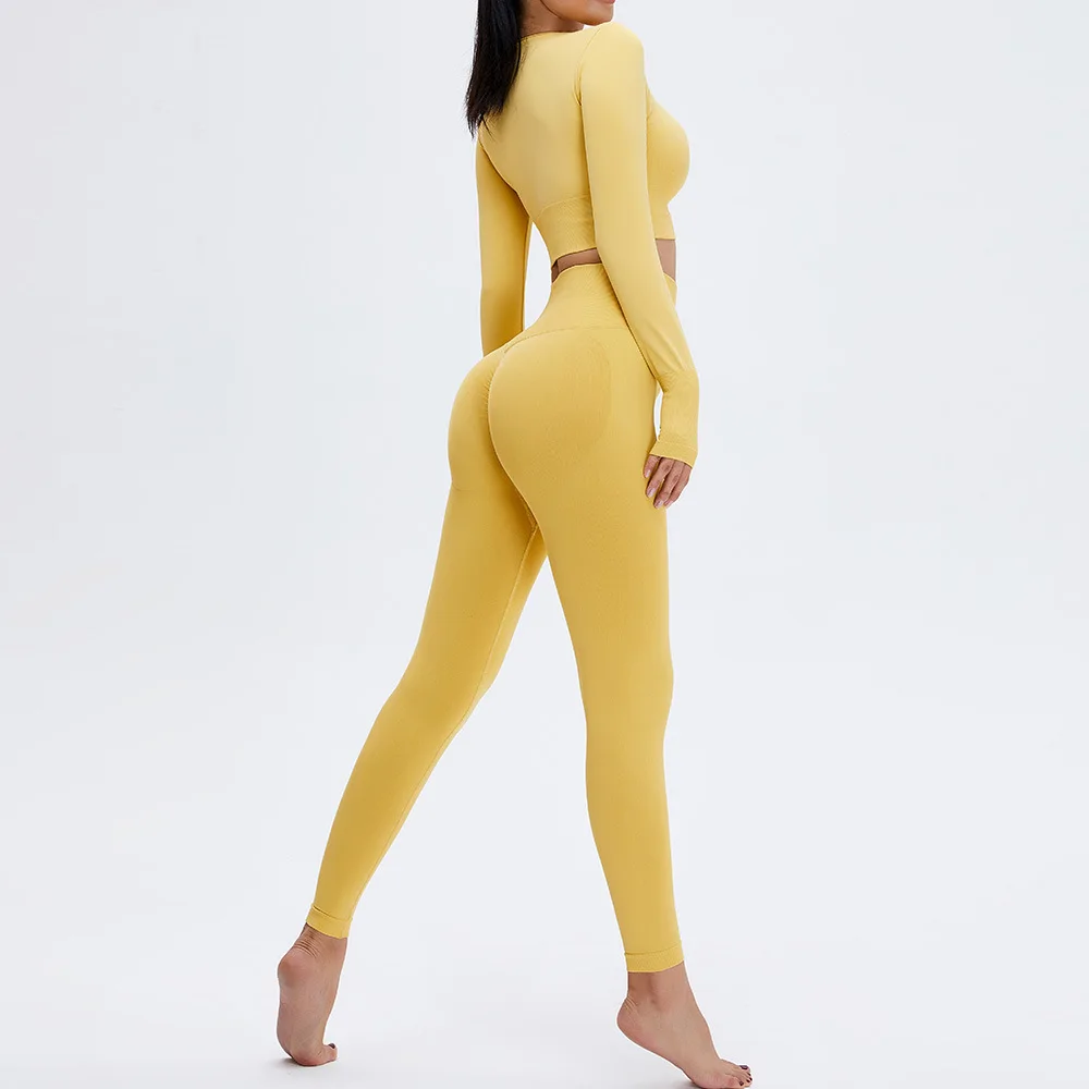 

two pieces outfits 2 set clothing tights and bra yoga women's gym fitness sets