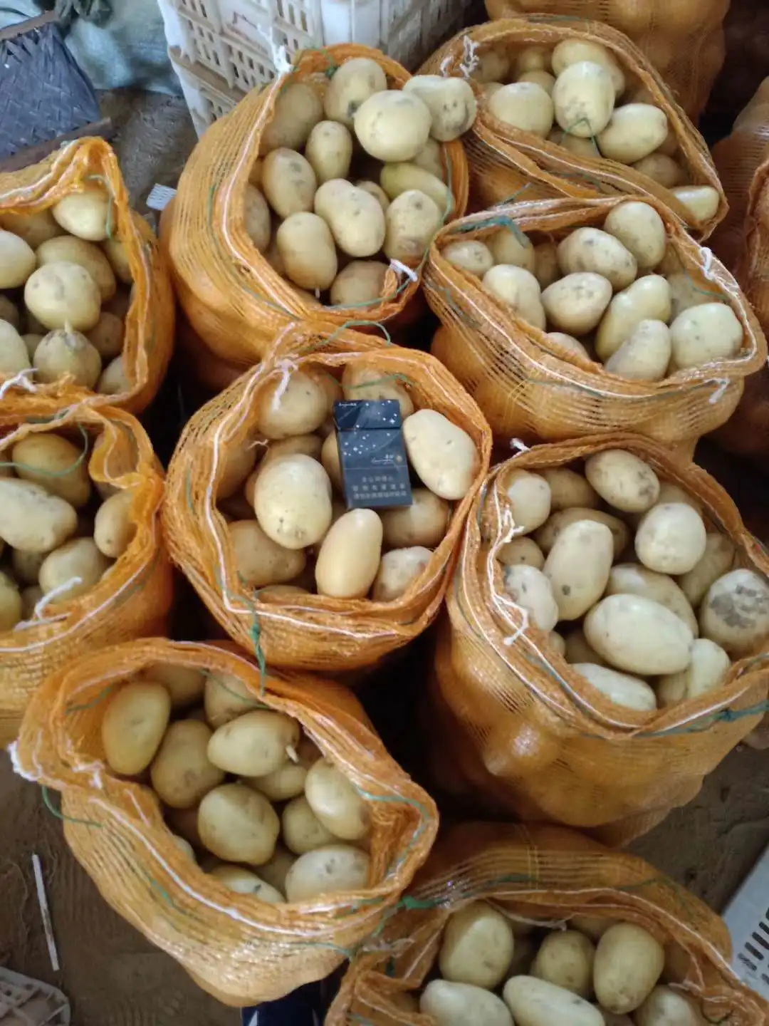 New Crop Fresh Potato with Best Quality Sweet Potato Low Price From China Potato Plant Farm