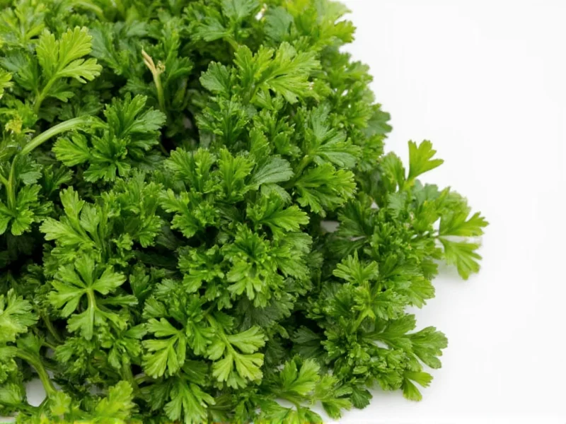 Dried Parsley to Fresh Ratio: The 3:1 Conversion Guide