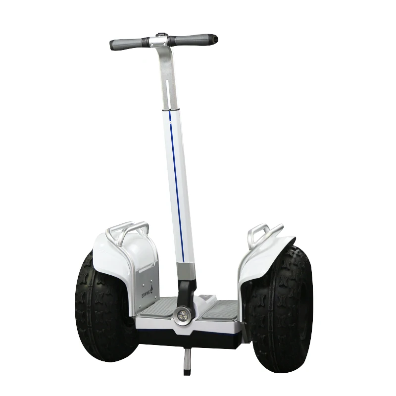 

2021 cheap adult electric chariot 19 inch fat tire off road self-balancing electric scooters, Black,silver,gray,golden
