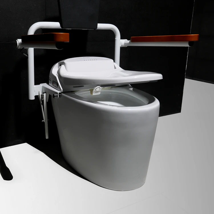 Venta al por mayor inodoro para discapacitados-Compre online los