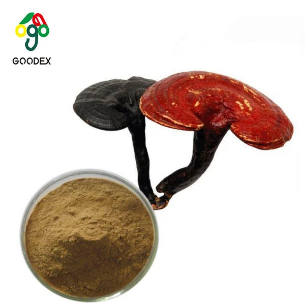 Factory suppliers  Ganoderma reishi extract 40% polysaccharides with best quality