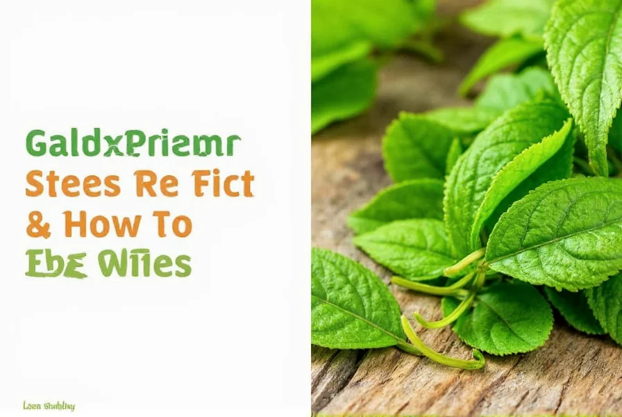 Fresh ginger plant showing both leaves and rhizome