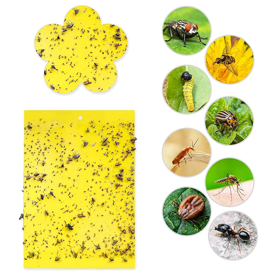 

Yellow Sticky Gnat Traps For Indoor/Outdoor Bug Insect Killer Insect Catcher Fungus Like Gnats, Whiteflies, Aphids