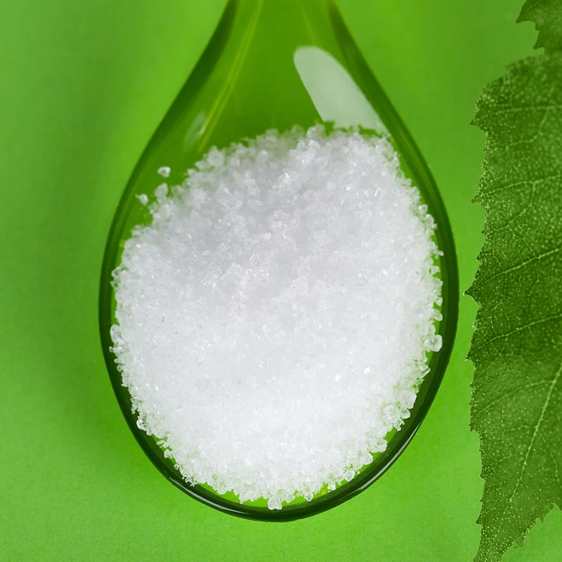 dental chewing gum with xylitol