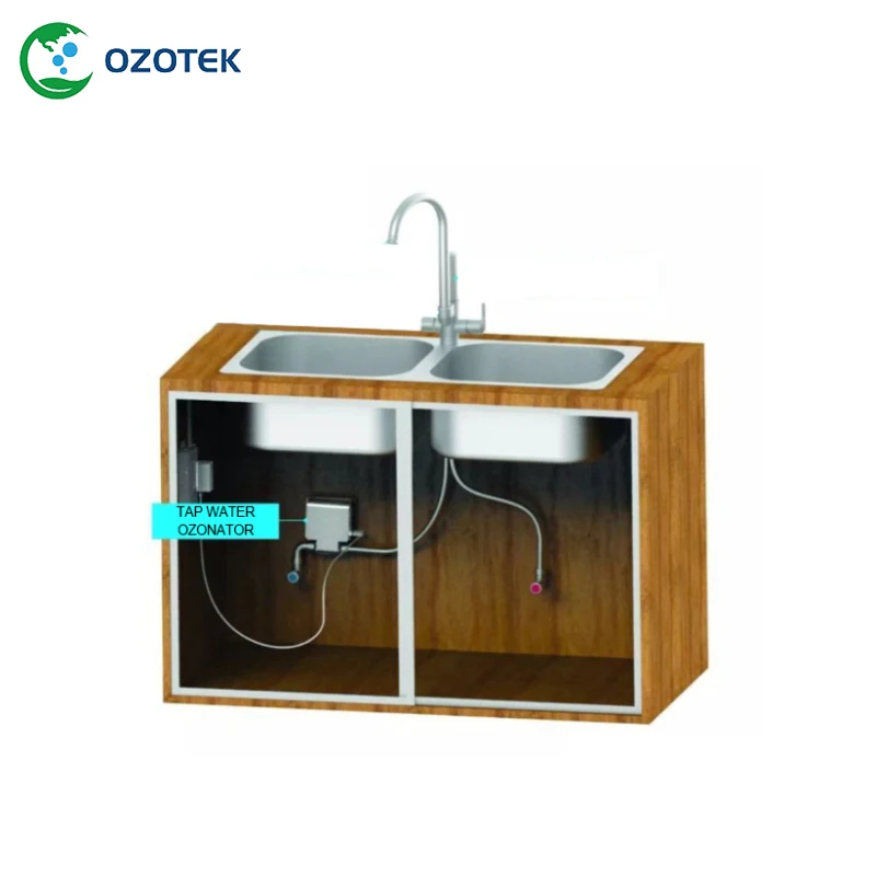 

OZOTEK Ozone Generator 12v water purifier TWO003 Inbuilt Venturi for vegetable fruits