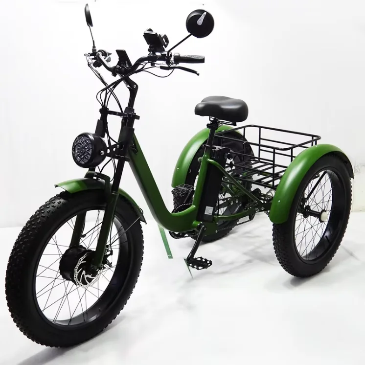 24 Inch Fat Tire 3-Wheel Cargo E-Tricycle Removable Lithium Battery for Family Adults Daily Transport, US EU Warehouse Stock