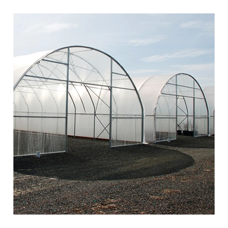 
Good quality environmental protect black multispan gardening greenhouse for flower 