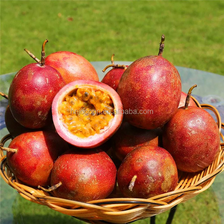 fruit sorting machine10.jpg