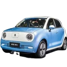 ORA R1 High Speed new energy Max 102km/h Range 351km LHD New Used Motor Lithium Battery Fast Charge