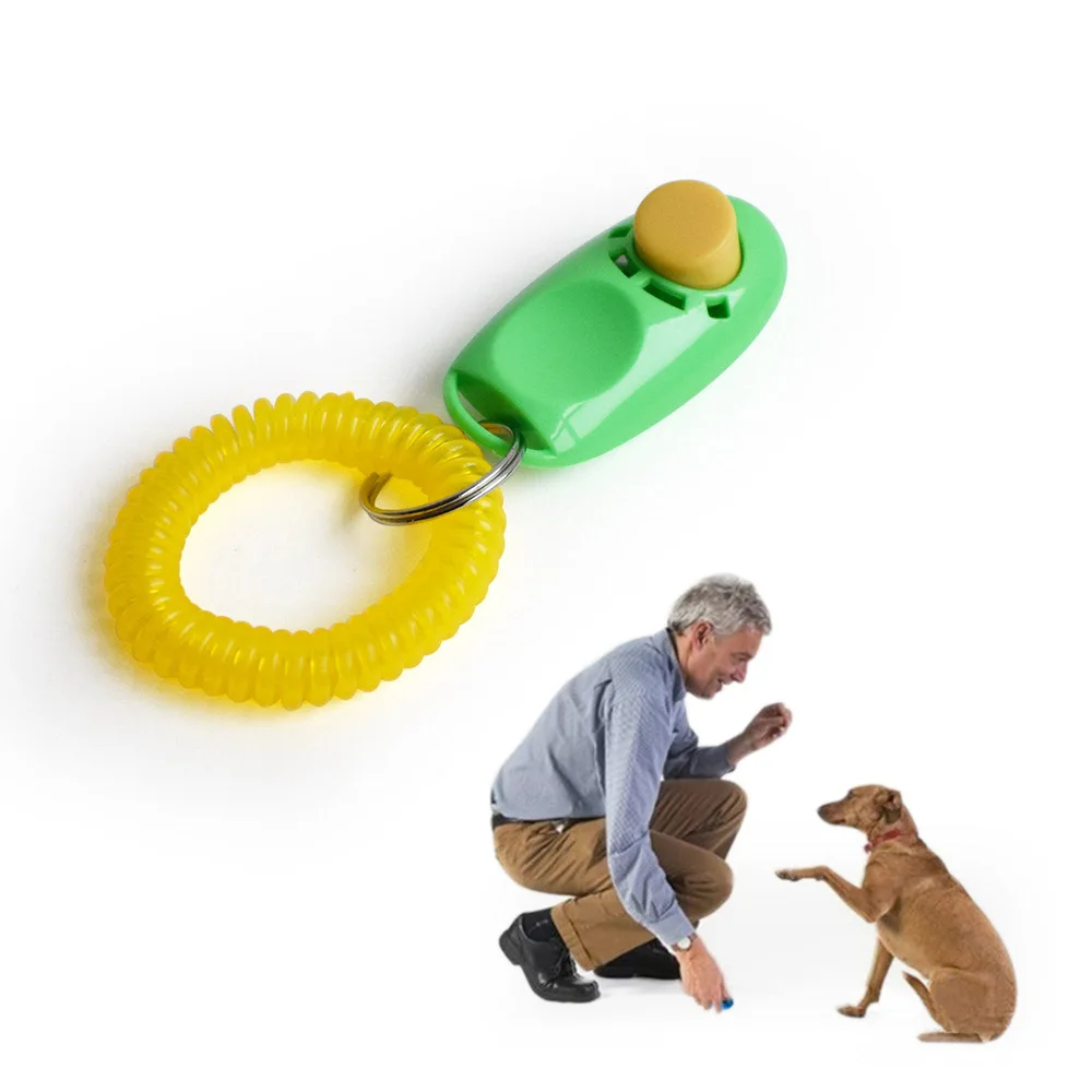 

Colorful Big Button Dog Training Clicker with Wrist Band, Picture
