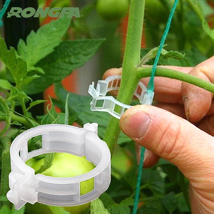 

Plant Vine Clips Gardening Plastic Vine Clip Garden Vegetables Tomato Vine Stalks Grow Upright Support Plant Clips