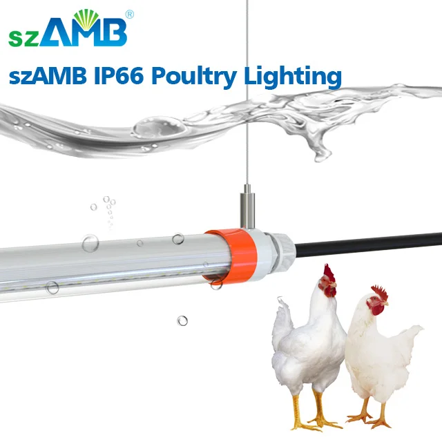 
2020 New Upgraded Rotating End Cap IP67 T8 Poultry Lighting 2020 New Upgraded Rotating End Cap IP67 T8 Poultry Lighting