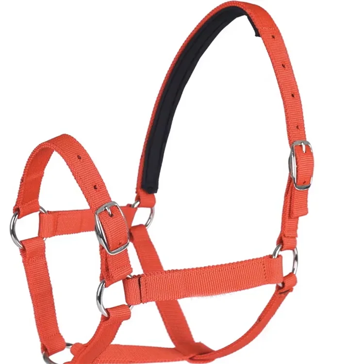 

High-quality leather Nylon Horse Riding equestrian supplies harness outdoor riding Wear-resistant bridle, Red blue black