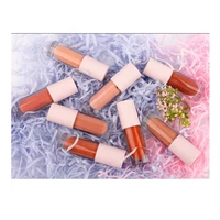 

8 color lip gloss private label nude lipgloss matte liquid lipstick mat lipsticks