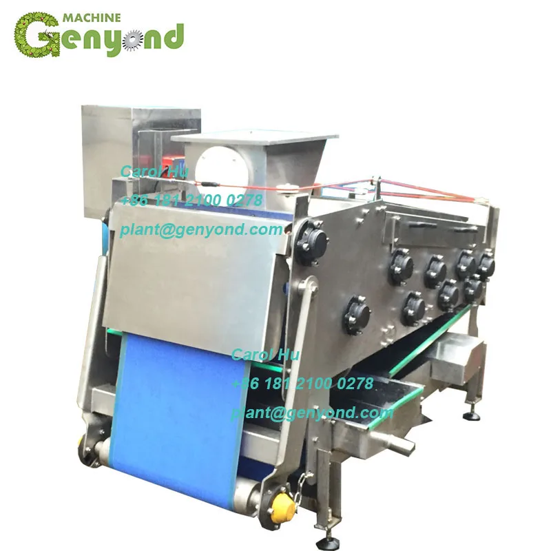 
GYC 20 belt juicer extractor machine  (1600134821396)