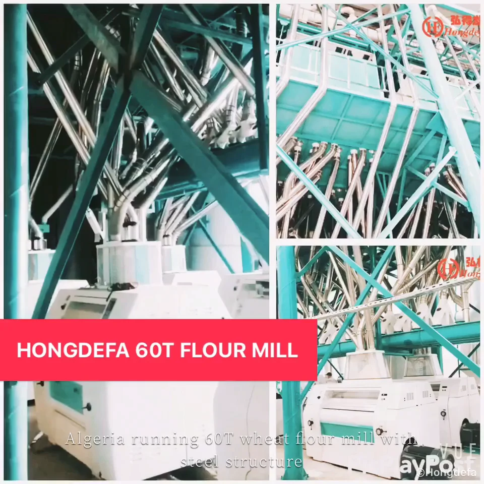 European Standards 50t/24h Flour Mill Machine Wheat Flour Processing