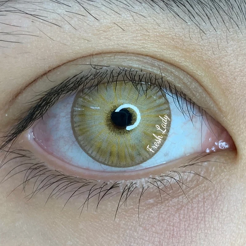 

Kangshida New York Collection Colored Brown Color lenses