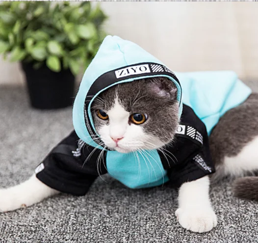 

3Takins Personalized cool design Amazon hot sale 2 legs hoodies with caps autumn winter cute pet cat clothes, Blue, pink