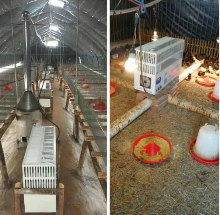 Electric Poultry Chick Quail Brooder Poultry House Heating Equipment