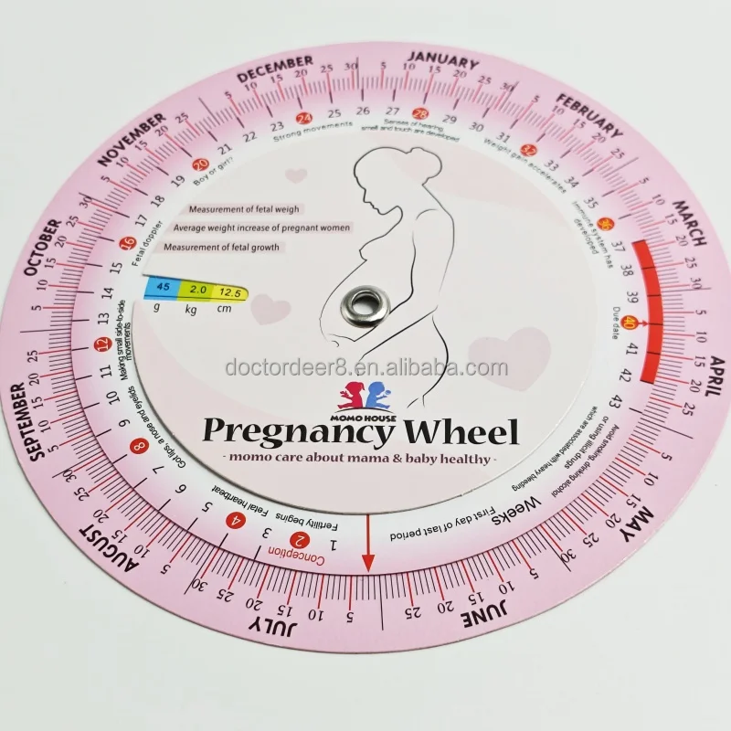 Customizable Logo Color Plastic Obstetrics Wheel Calculator Gestation Born Date Chart 14x14cm Estimate Measurement Fetal Weight