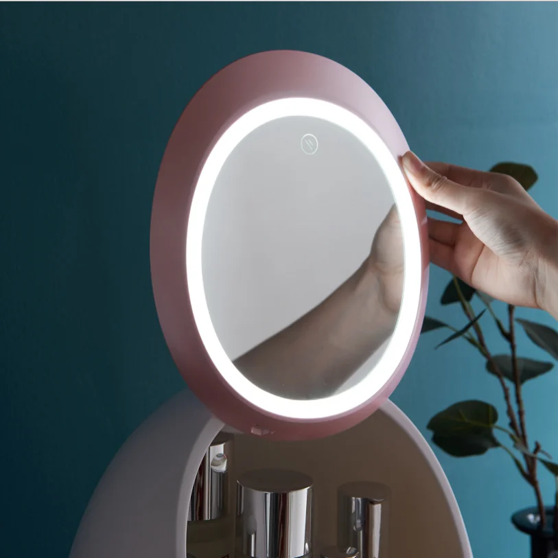 

Portable Makeup Case Makeup Mirror With Led Light