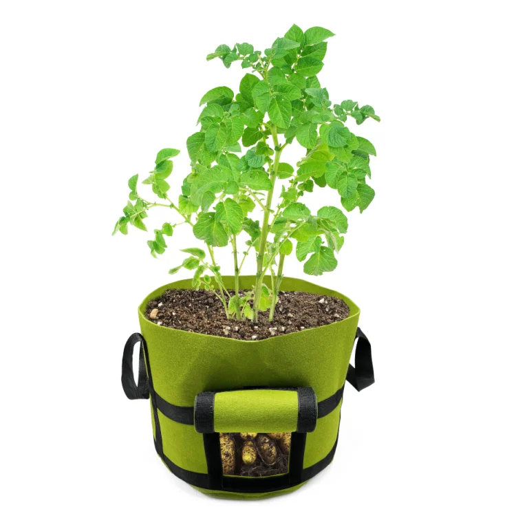 

1 2 3 5 7 10 20 25 30 50 70 Gallon Felt Potato Planter Grow Bag With Handle, Customized color