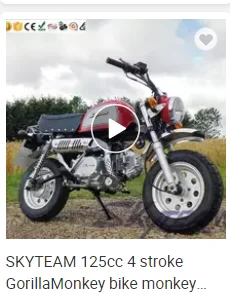 Skyteam Skybongo.png