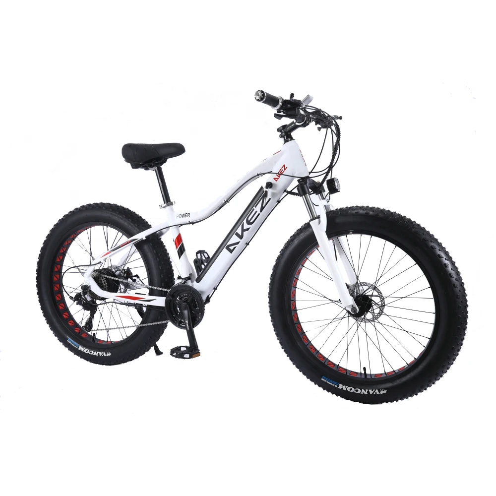 

High Speed Electric Bike Hub Motor 750W adult e-bike/electric bicycle