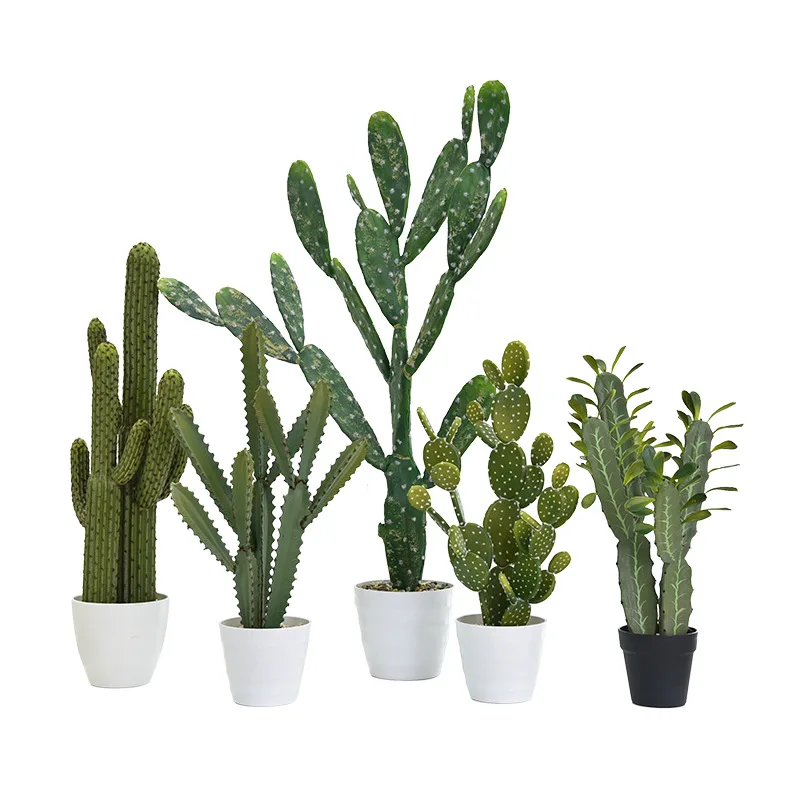 

Large Fake Cactus Trees Indoor Artificial Cacti Plant For Home Decoration
