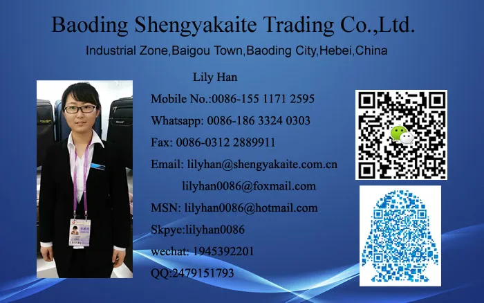 2016 lily name card.jpg 